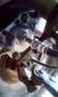 Volkswagen Buggy Buggy Ruska B1, 1966 Blau - thumbnail 36