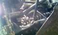 Volkswagen Buggy Buggy Ruska B1, 1966 Blauw - thumbnail 41