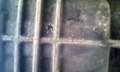 Volkswagen Buggy Buggy Ruska B1, 1966 Blauw - thumbnail 36