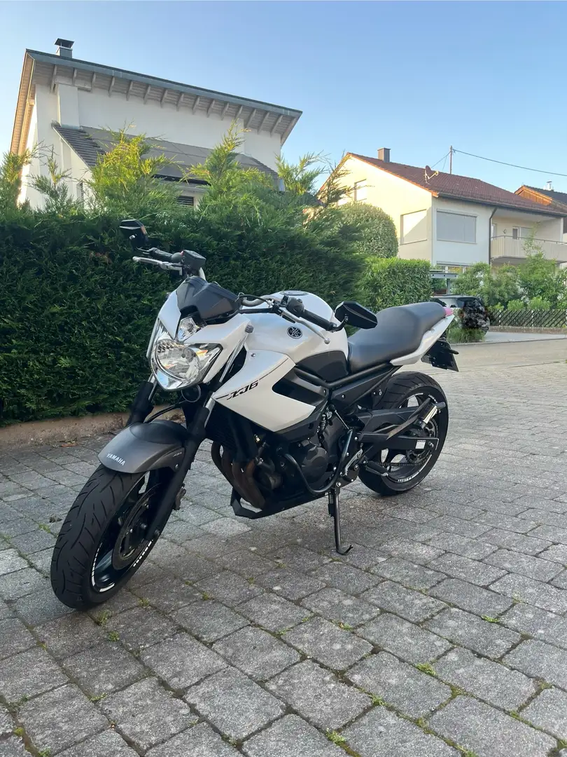 Yamaha XJ 6 Yamaha XJ6, TÜV Neu, wenig Km, Frisch aufbereitet Blanc - 2