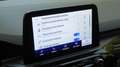 Ford Kuga 2.5 Plug In Hybrid 225 CV CVT 2WD ST-Line Nero - thumbnail 13