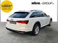 Audi A6 allroad quattro 2.0 TDI*STANDHEIZUNG*LED*KAMERA*AHK* Weiß - thumbnail 5
