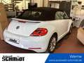 Volkswagen Beetle The Beetle Cabriolet 1.2 TSI +1. HAND+GARANTIE Schwarz - thumbnail 1