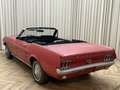 Ford Mustang USA Cabriolet / 1967 / 3,3 Liter 200 Cu 6-cilinder Rot - thumbnail 8
