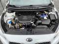 Kia Ceed / cee'd ceed 1.6 Kamera+Klimaaut.+Sitzhzg.+PDC Fehér - thumbnail 9