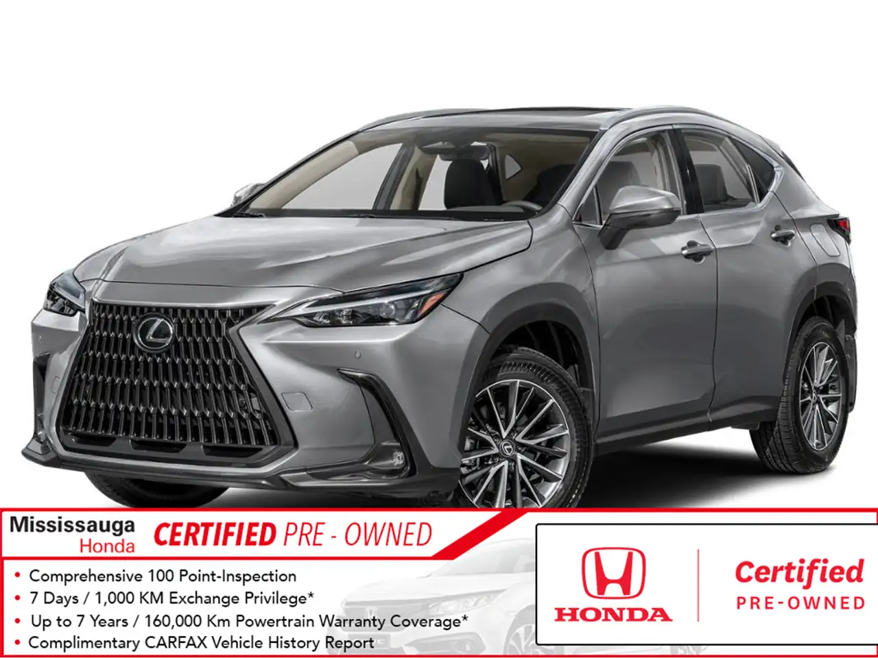 2023 Lexus NX