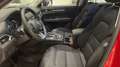 Mazda CX-5 2023 SKYACTIV-G MHEV 2.0 165CV AT 2WD ADVENTAGE Rojo - thumbnail 11