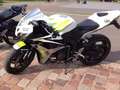 Honda CBR 600 RR Blanc - thumbnail 1