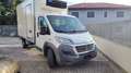 Fiat ducato MULTIJET 2.3  FURGONE ISOTERMICO CON GRUPPO Blanc - thumbnail 1