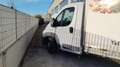 Fiat ducato MULTIJET 2.3  FURGONE ISOTERMICO CON GRUPPO Blanc - thumbnail 3