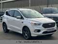 Ford Kuga 2.0 TDCI*VIGNALE*4x4*LEDER*PANO*KAMERA*1HD* Blanco - thumbnail 3