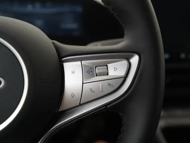 Byd Dolphin G view 9