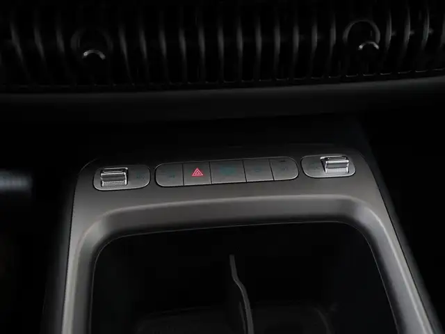 Byd Dolphin G view 10