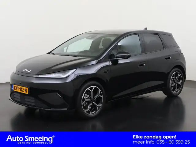 BYD Dolphin G