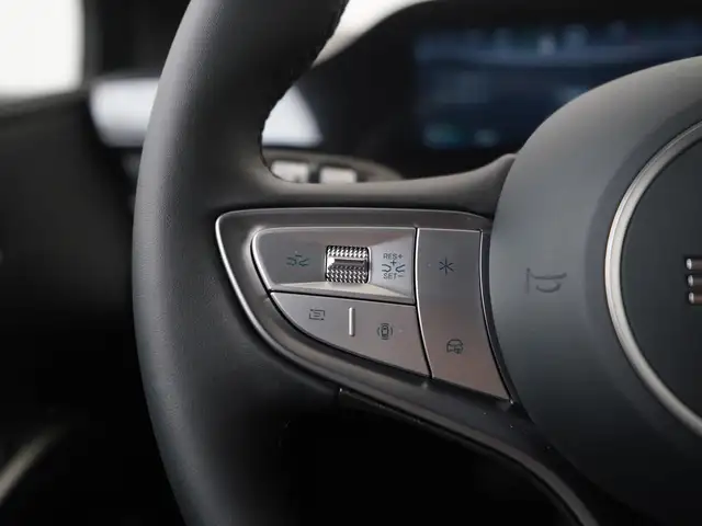 Byd Dolphin G view 7