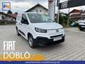 Fiat Ducato KASTENWAGEN L1 100PS MT6 Weiß - thumbnail 1