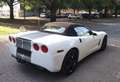 Corvette C6 Convertible Corvette C6 Cabrio 6.2 V8 Grand Sport Bianco - thumbnail 6