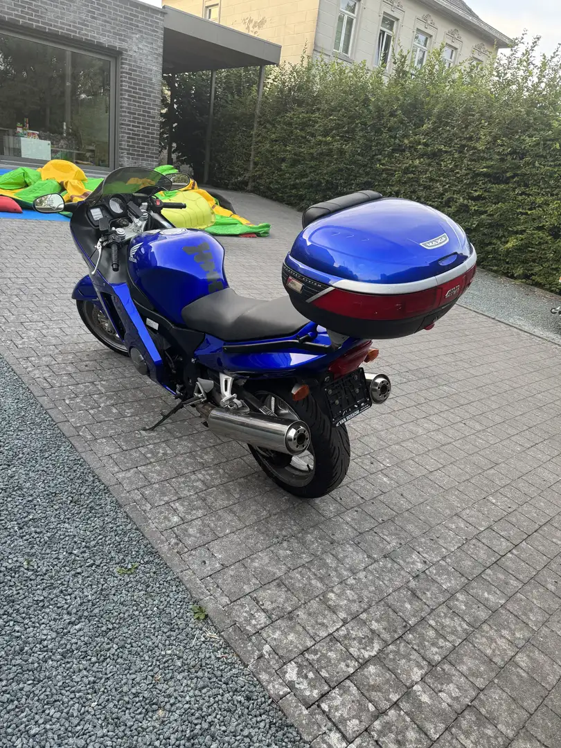 Honda CBR 1100 Blackbird - 2