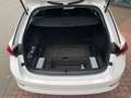 Skoda Octavia Combi Clever 2.0 TDI DSG NAVI CARPLAY Weiß - thumbnail 14