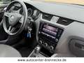Skoda Octavia Lim.*Automatik* Grau - thumbnail 12