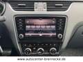Skoda Octavia Lim.*Automatik* Grau - thumbnail 17