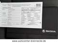 Skoda Octavia Lim.*Automatik* Grau - thumbnail 19