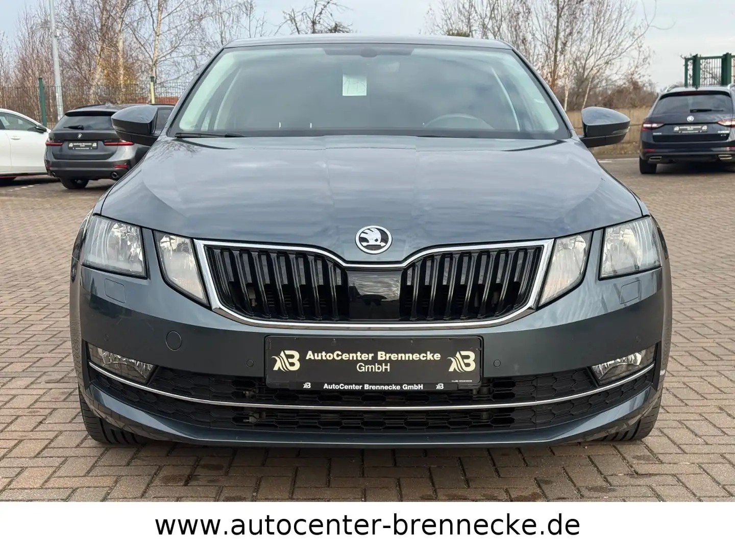 Skoda Octavia Lim.*Automatik* Grau - 2