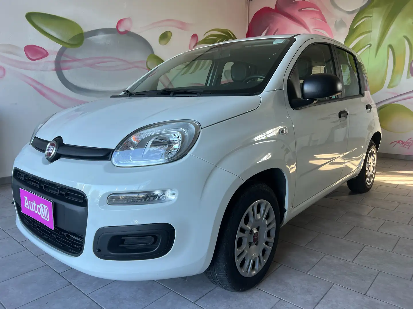 Fiat Panda Panda 1.2 Benzina ULTIMA PRODUZIONE 4 CILINDRI Wit - 1