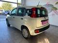 Fiat Panda Panda 1.2 Benzina ULTIMA PRODUZIONE 4 CILINDRI Wit - thumbnail 2