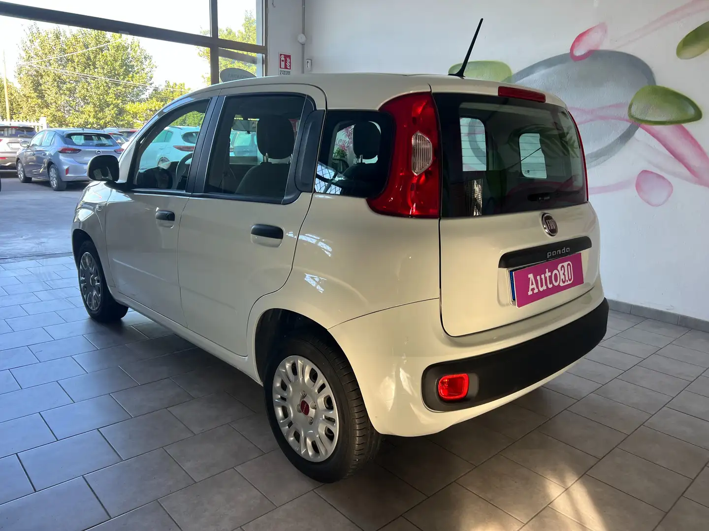 Fiat Panda Panda 1.2 Benzina ULTIMA PRODUZIONE 4 CILINDRI Wit - 2