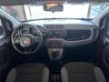 Fiat Panda Panda 1.2 Benzina ULTIMA PRODUZIONE 4 CILINDRI Wit - thumbnail 8