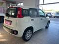 Fiat Panda Panda 1.2 Benzina ULTIMA PRODUZIONE 4 CILINDRI Wit - thumbnail 3