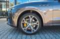 Maserati Levante Modena/TOP/24 MONATE Garantie Gris - thumbnail 8