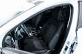 Kia Sportage 1.6 T-GDi Drive 150 White - thumbnail 8