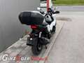 Honda ADV 350 Weiß - thumbnail 4