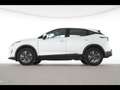 Nissan Qashqai 1.3 DIG-T MHEV Acenta ACC+LED+Navi+SHZ Weiß - thumbnail 6