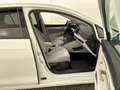 Volkswagen Golf VIII 2.0 TDI Life Matrix Pano S-Dach SpoSi Bianco - thumbnail 8