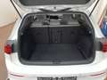 Volkswagen Golf VIII 2.0 TDI Life Matrix Pano S-Dach SpoSi Bianco - thumbnail 12