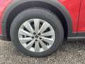 SEAT Arona ARONA ROAD EDITION 1.0 TSI AHZV-VORBER. SITZHEI. Rood - thumbnail 4