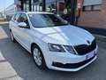 Skoda Octavia Octavia III 2017 Wagon Wagon 1.6 tdi  115cv dsg Bianco - thumbnail 1