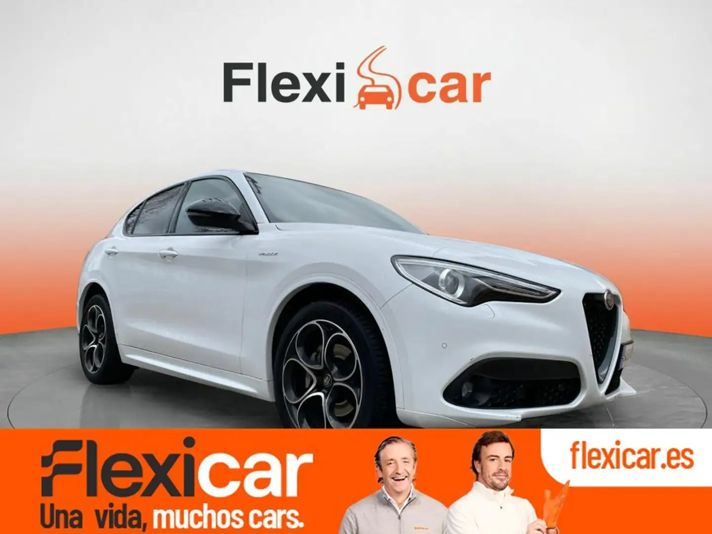 Alfa Romeo Stelvio 2.2 Diésel 154kW (210CV) Competizione Q4 Blanco - 1