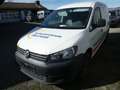 Volkswagen Caddy Maxi Kasten EcoProfi TDI AHK+Regale+Klima Weiß - thumbnail 8