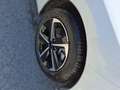 Opel Astra L Sports Tourer 1.2 Turbo Edition ACC+LED Weiß - thumbnail 8
