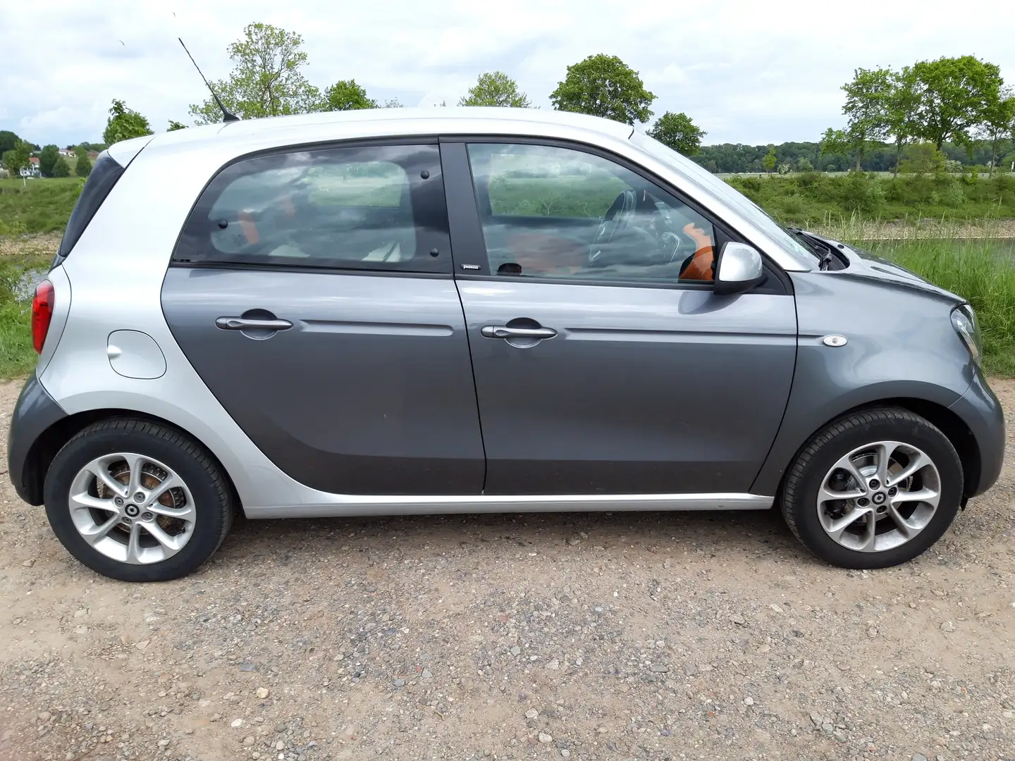 smart forFour smart forfour passion Grau - 2