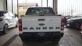 Ford Ranger Wildtrak DK 4x4, 2,0 EcoBlue Aut., TOP ZUSTAND Weiß - thumbnail 6
