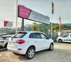 Renault Koleos 2.0dCi Dynamique 4x2 Blanco - thumbnail 5