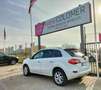 Renault Koleos 2.0dCi Dynamique 4x2 Blanco - thumbnail 6