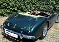 Austin-Healey 100 1957 Healey 100-Six BN4 6-Zylinder 4-Sitze  FIA Grün - thumbnail 25