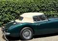 Austin-Healey 100 1957 Healey 100-Six BN4 6-Zylinder 4-Sitze  FIA Grün - thumbnail 20