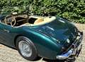 Austin-Healey 100 1957 Healey 100-Six BN4 6-Zylinder 4-Sitze  FIA Grün - thumbnail 17